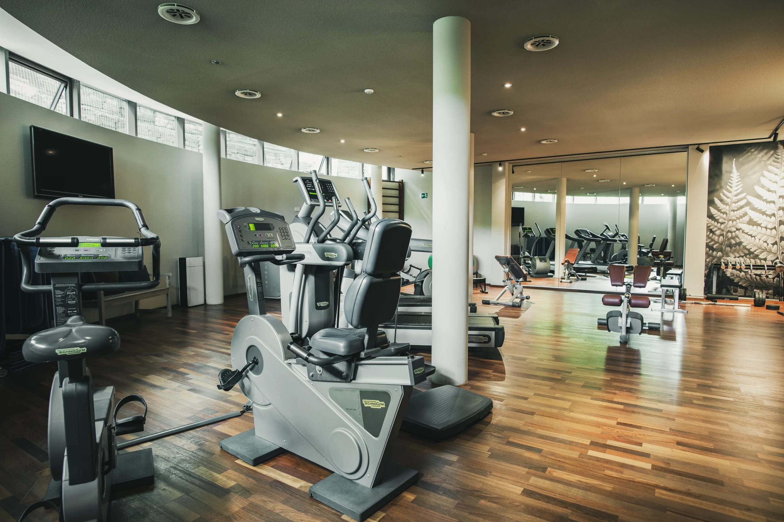 Fitnessraum mit Cardiogeräten, Holzboden und geschwungener Fensterfront