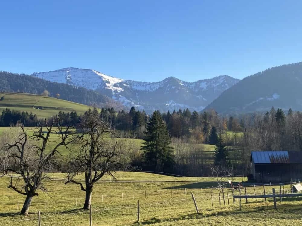 Blick auf die Nagelfluhkette und grüne Wiesen im Allgäu