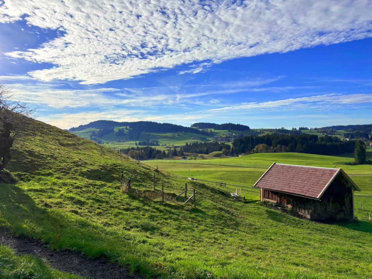 Blick über grüne Allgäuer Hügel mit kleiner Holzhütte unter blauem Himmel