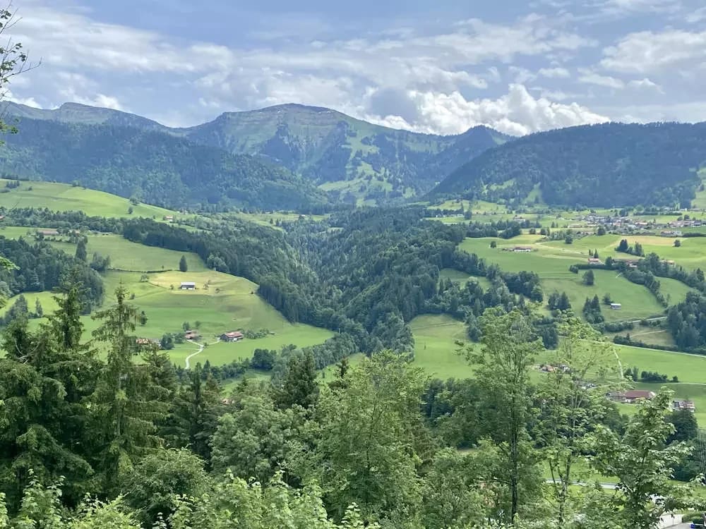 Kirschblüten vor einem See mit schneebedeckten Alpen im Hintergrund