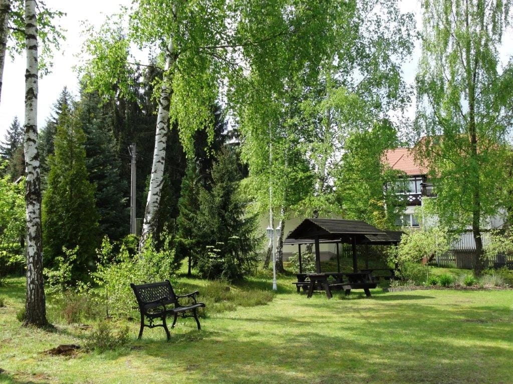 Parkwiese mit Birken, einer Bank und einem überdachten Sitzplatz aus Holz