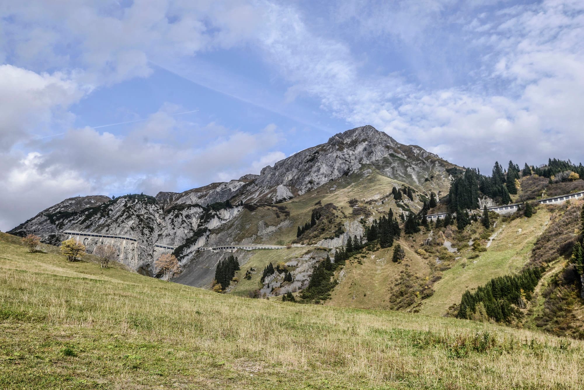 Bergpanorama mit Almwiese und Passstraße