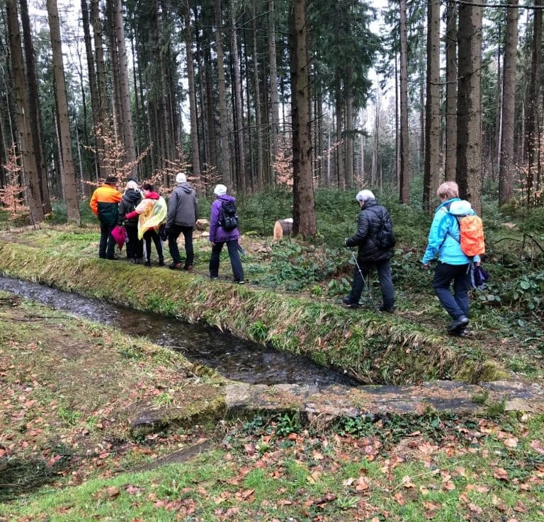 Fastenwandergruppe auf einem Waldweg entlang eines Bachlaufs