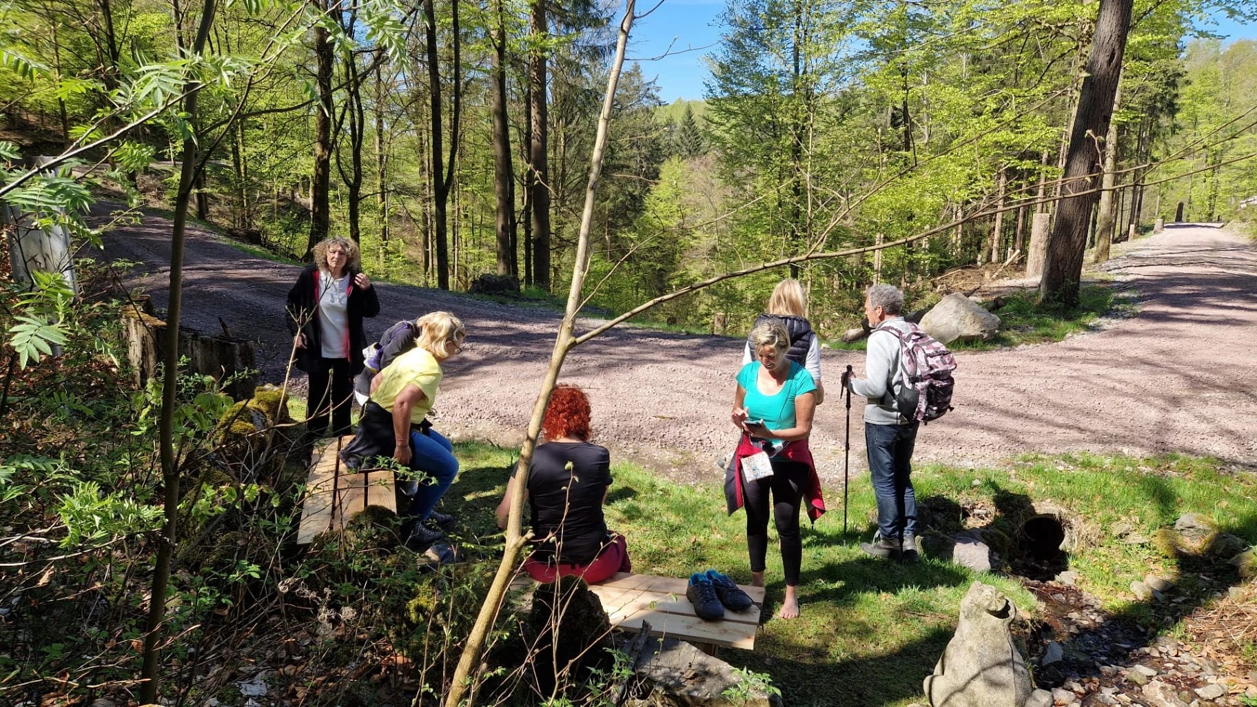 Wandergruppe an einer Wegkreuzung im Frühlingswald