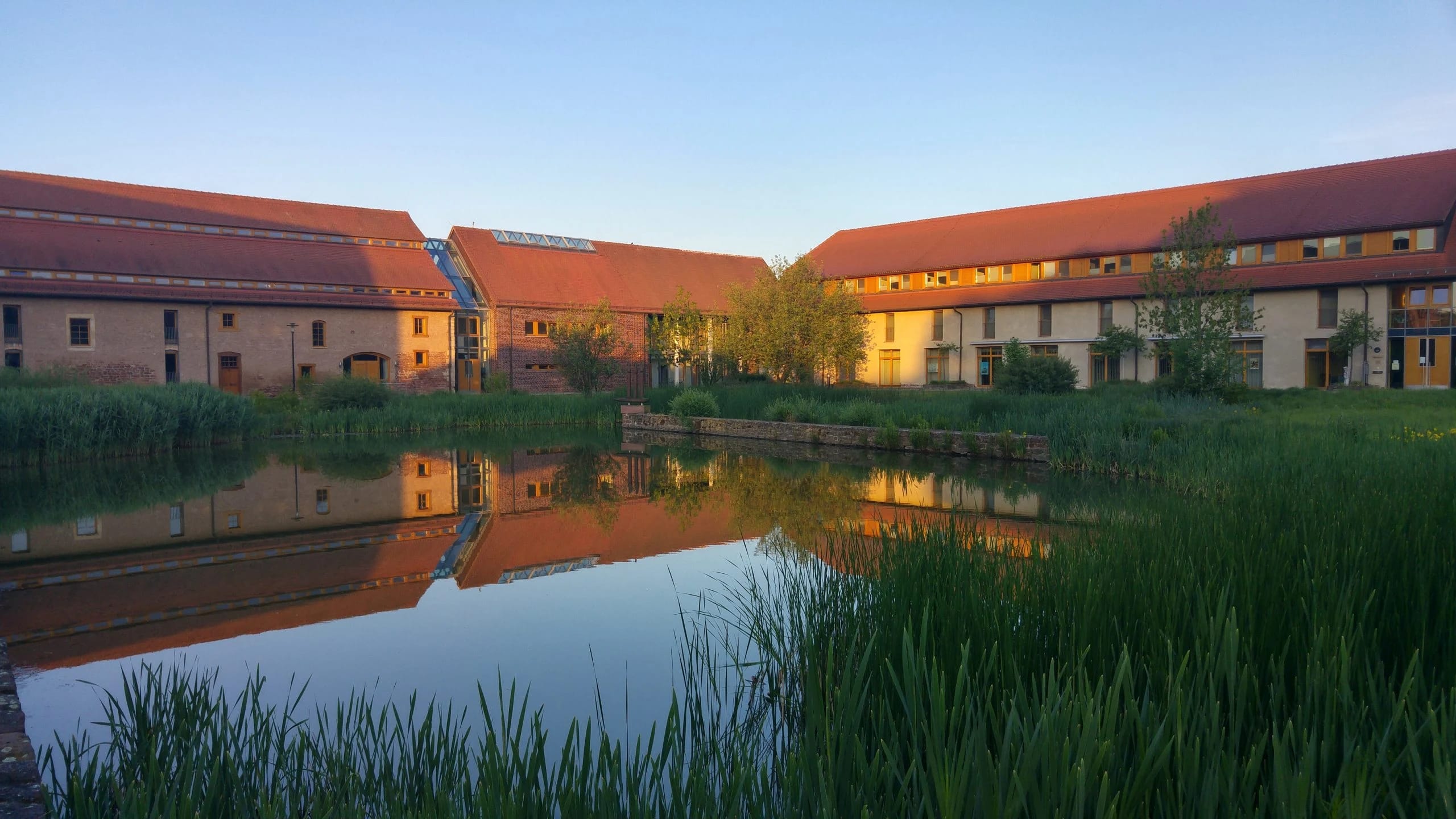 Klostergebäude mit roten Ziegeldächern spiegeln sich im Teich, Schilf im Vordergrund im Abendlicht