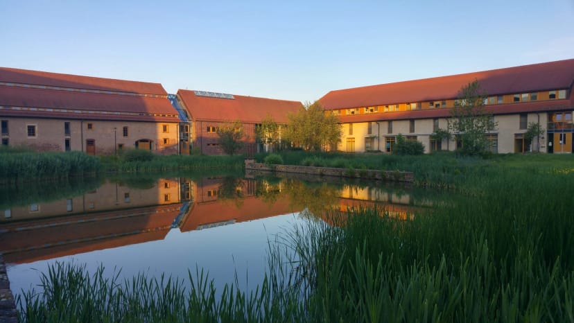 Klostergebäude mit roten Ziegeldächern spiegeln sich im Teich, Schilf im Vordergrund im Abendlicht