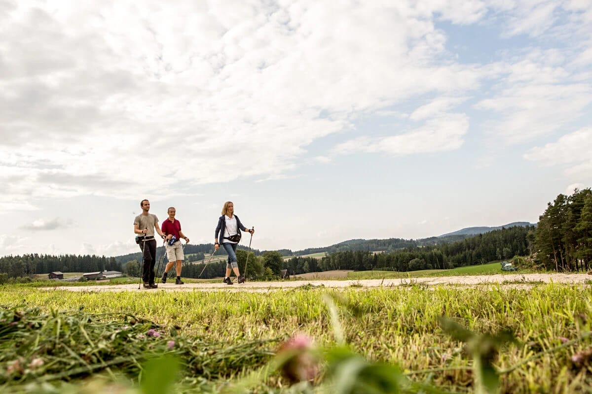 Nordic Walking auf einem Feldweg in der Umgebung des Hotels