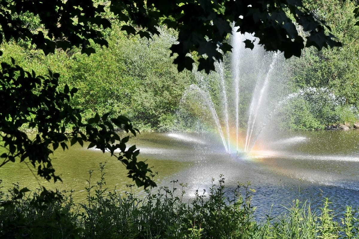 Wasserfontäne in einem See mit Regenbogen im Sprühnebel, umrahmt von Laubzweigen