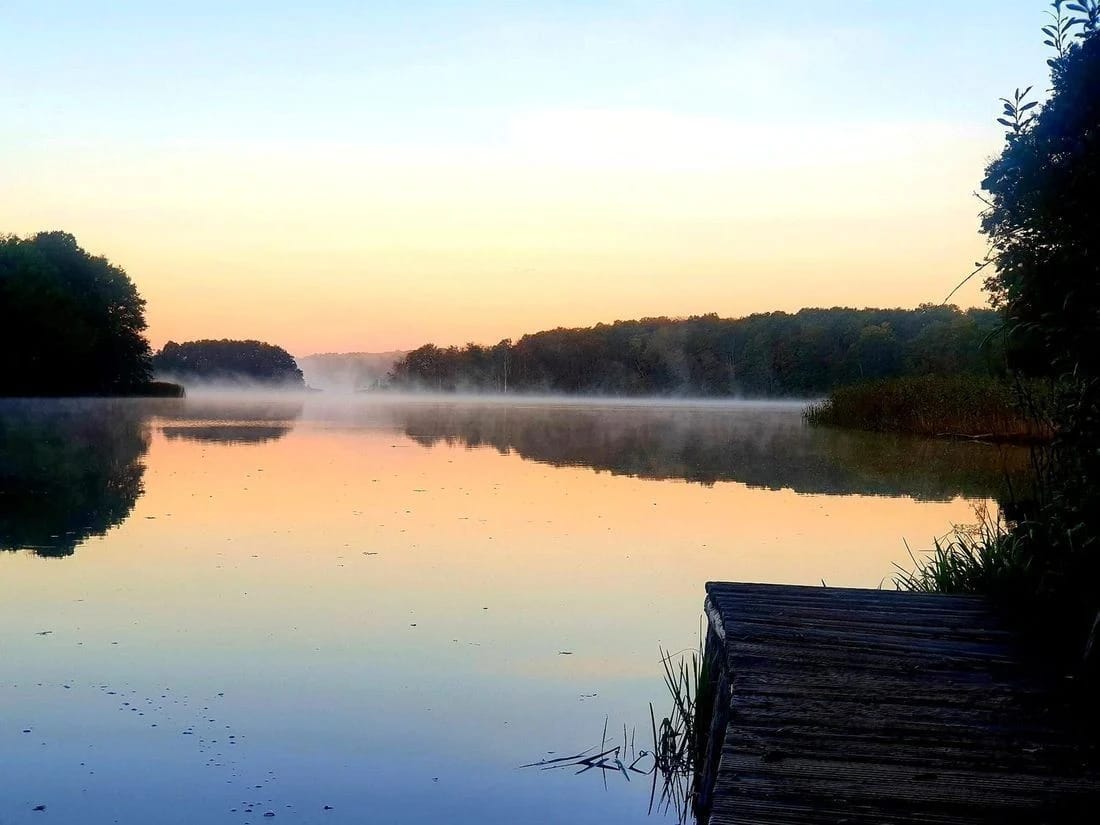 Morgennebel über dem eigenen See