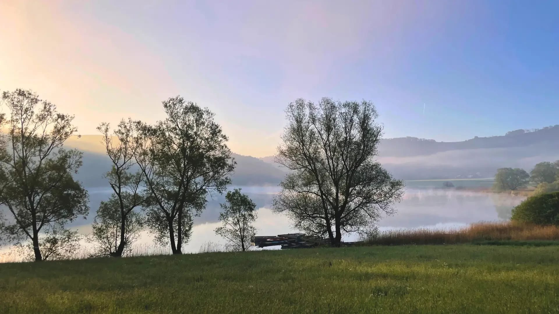 Morgennebel über dem Meerfelder Maar mit Bäumen am Ufer und grüner Wiese