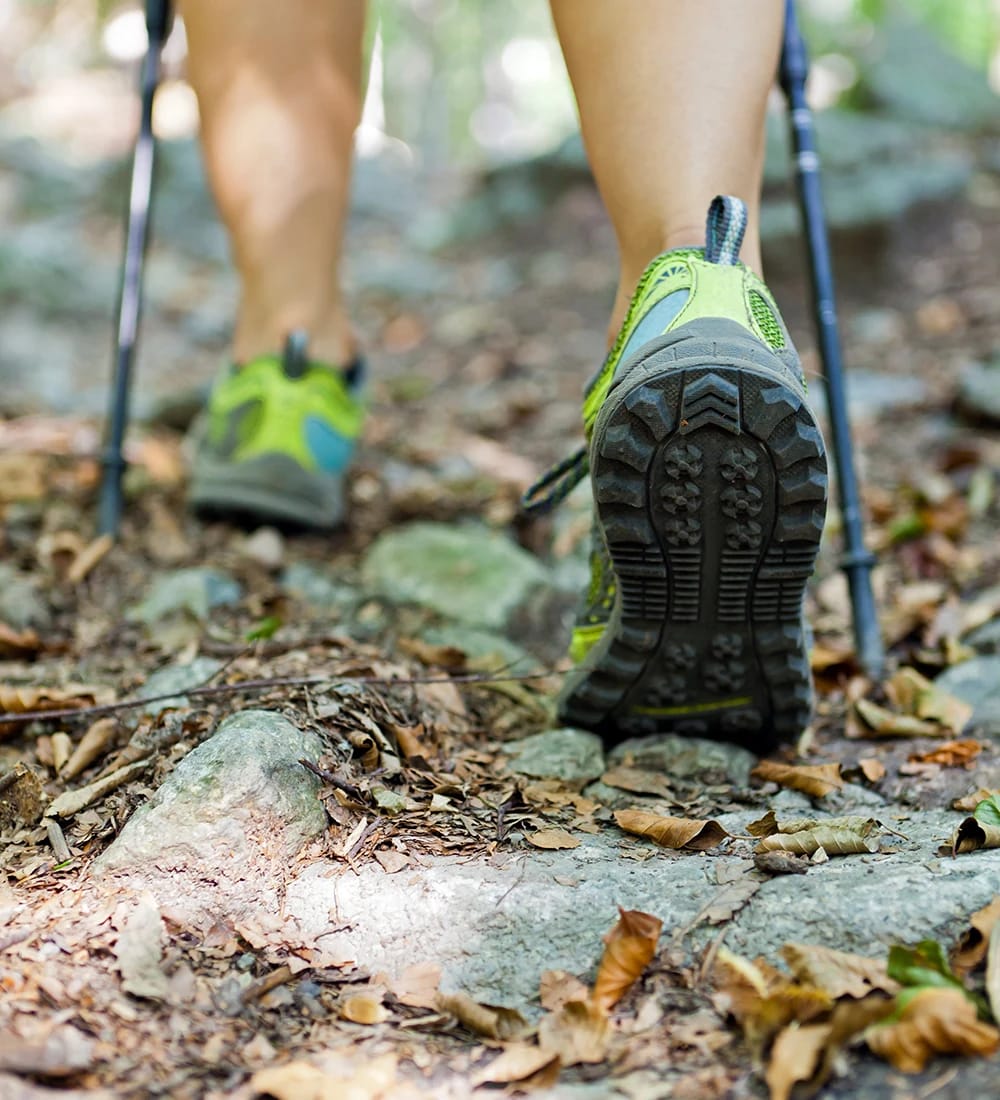 Nordic Walking auf einem Waldweg während der Fastenwoche