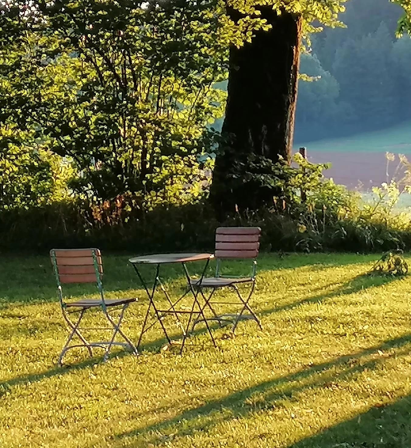 Zwei Stühle und ein kleiner Tisch auf der Wiese unter einem großen Baum im Abendlicht