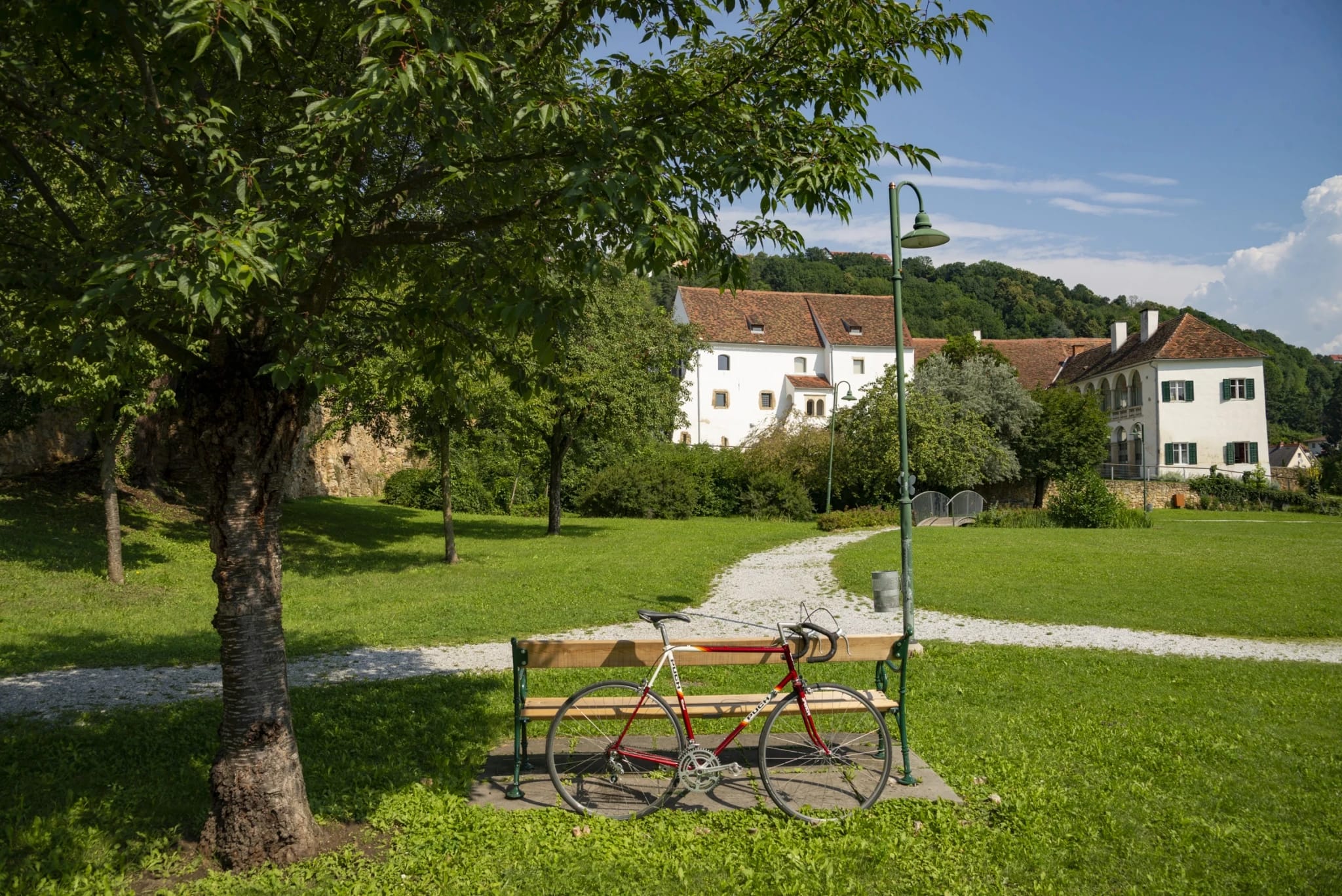 Grüne Parkanlage mit Baum, Sitzbank und Fahrrad, im Hintergrund ein historisches Gebäude