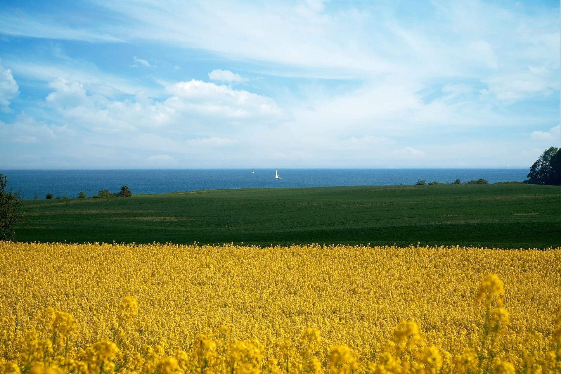 Dünengras am weißen Sandstrand mit Blick auf die Ostsee