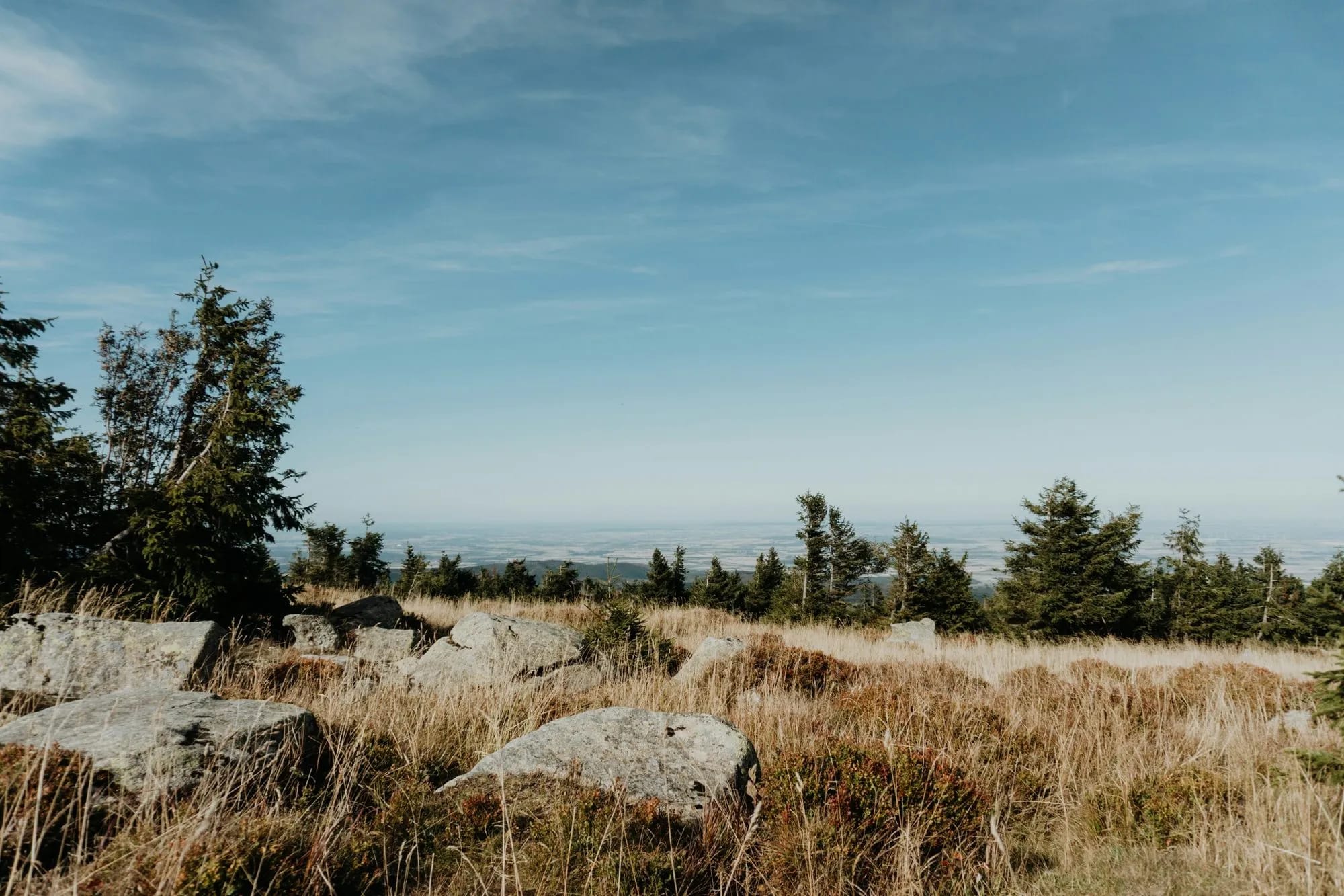 Bergpanorama im Allgäu