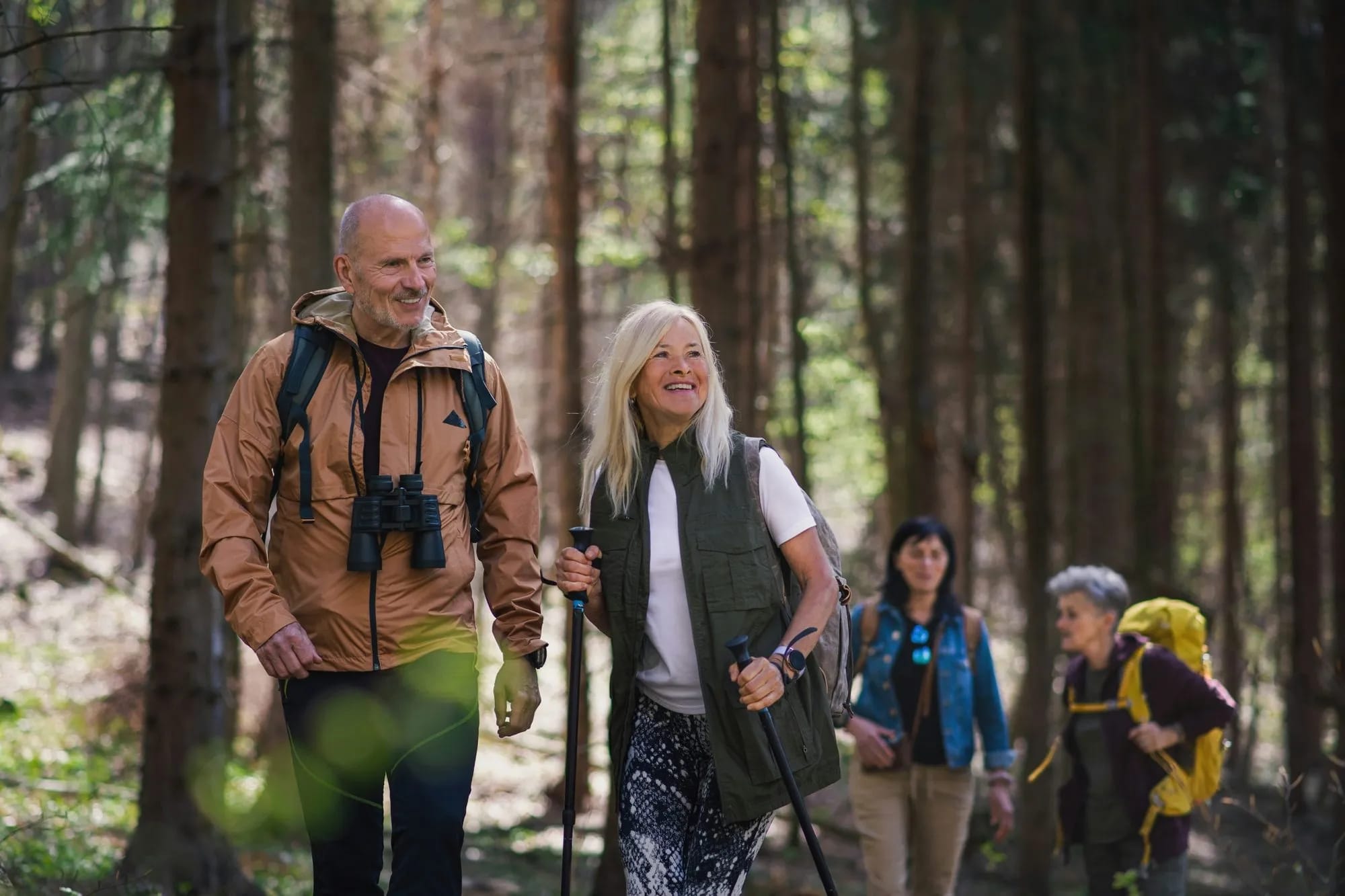 Wanderung im Wald
