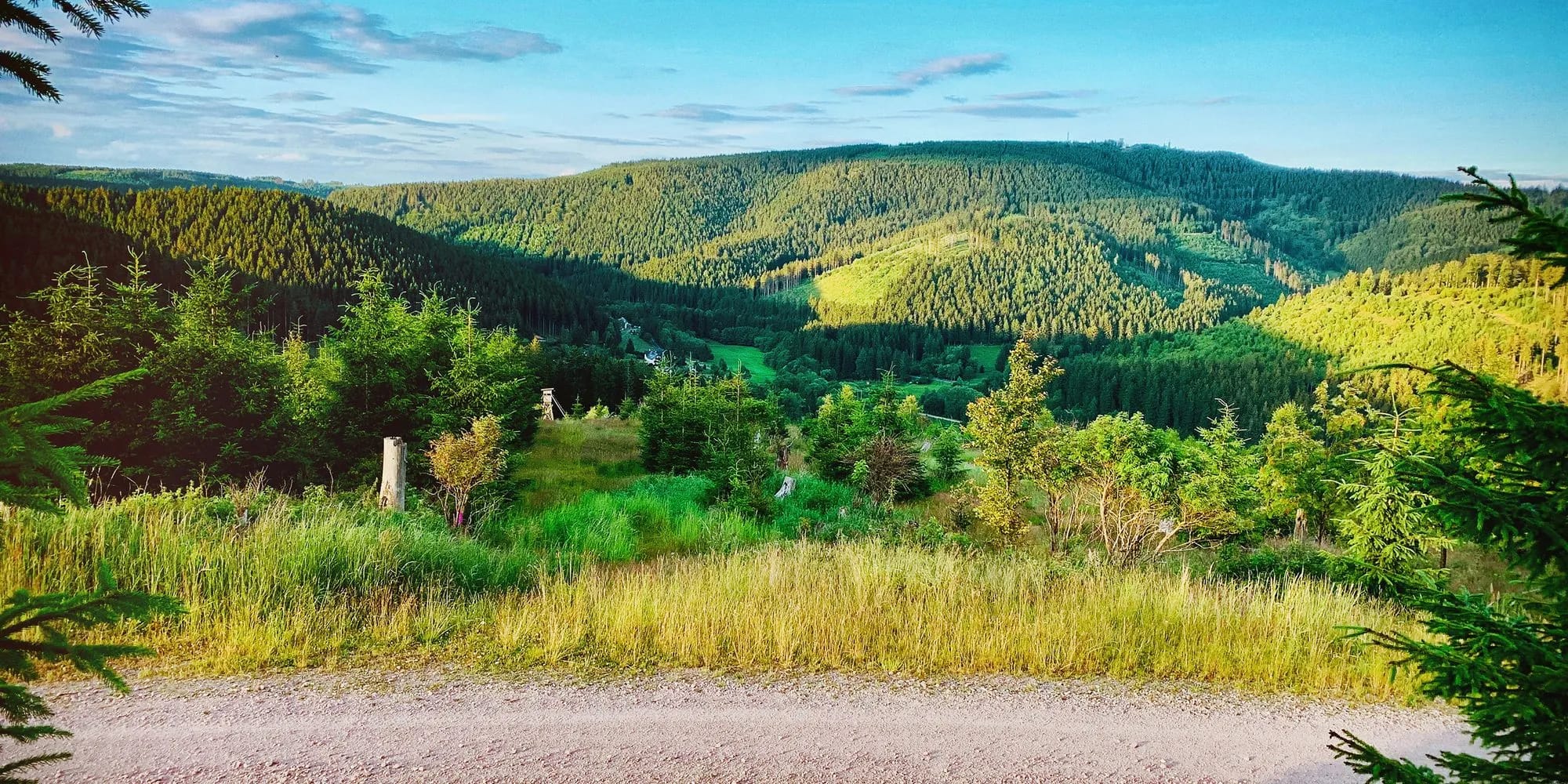 Blick über bewaldete Hügel