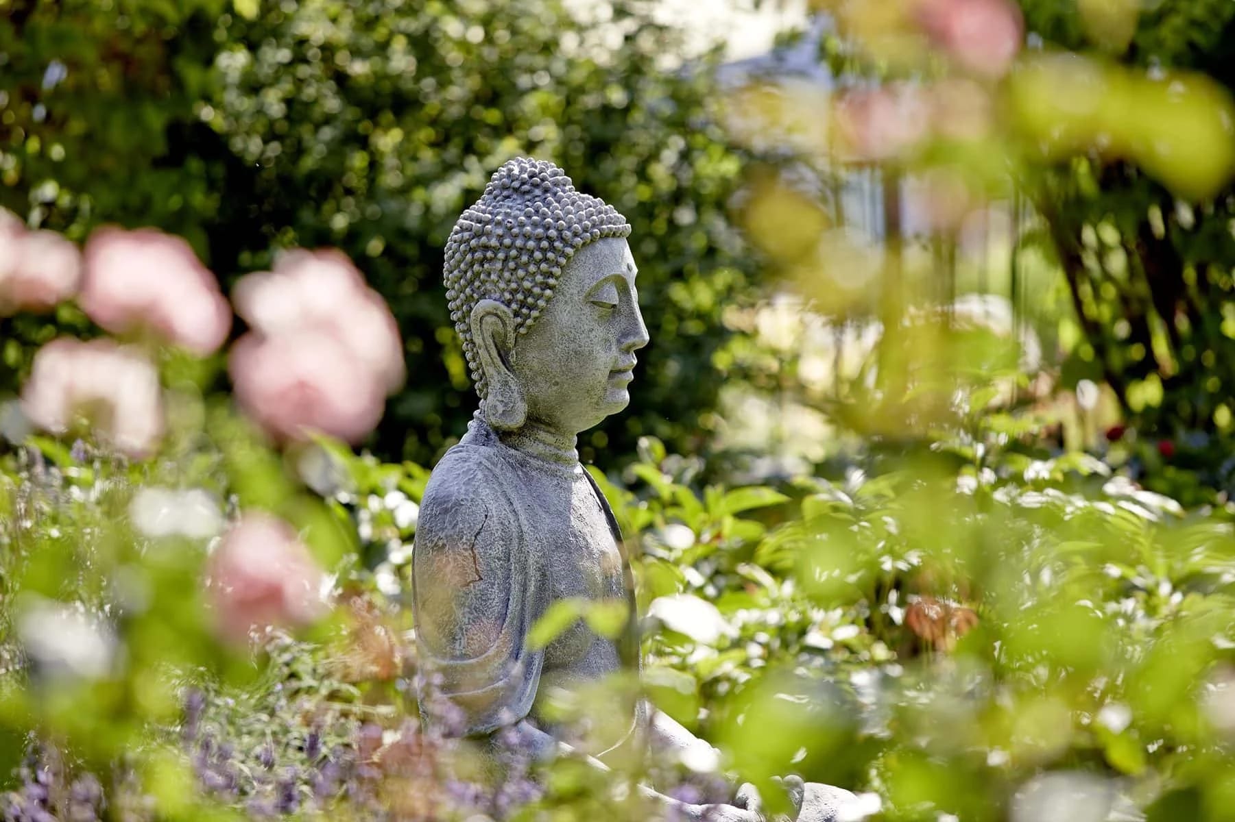 Steinerne Buddhafigur im Garten zwischen blühenden Hortensien