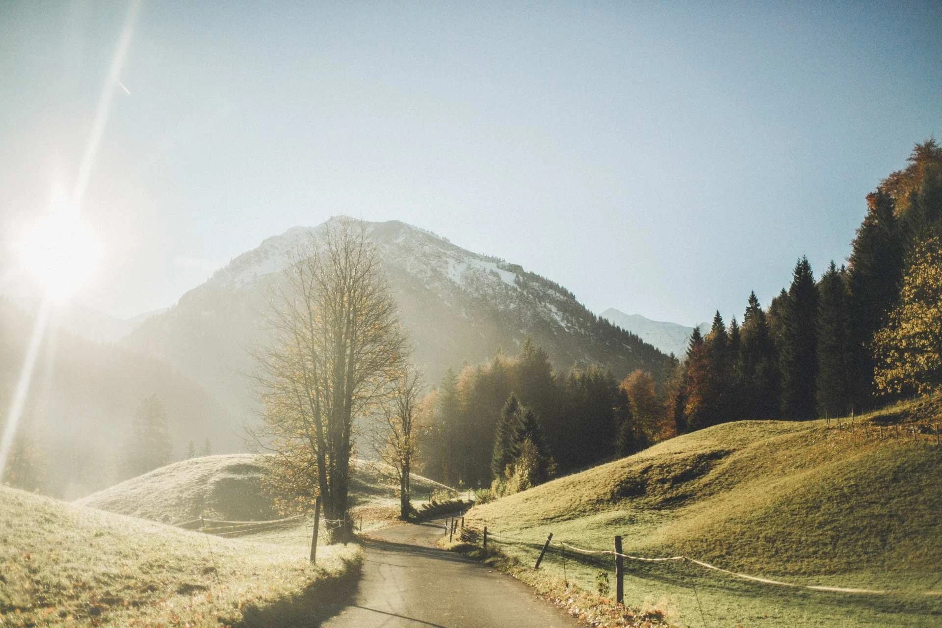 Herbstlicher Weg durch die Berglandschaft im morgendlichen Gegenlicht
