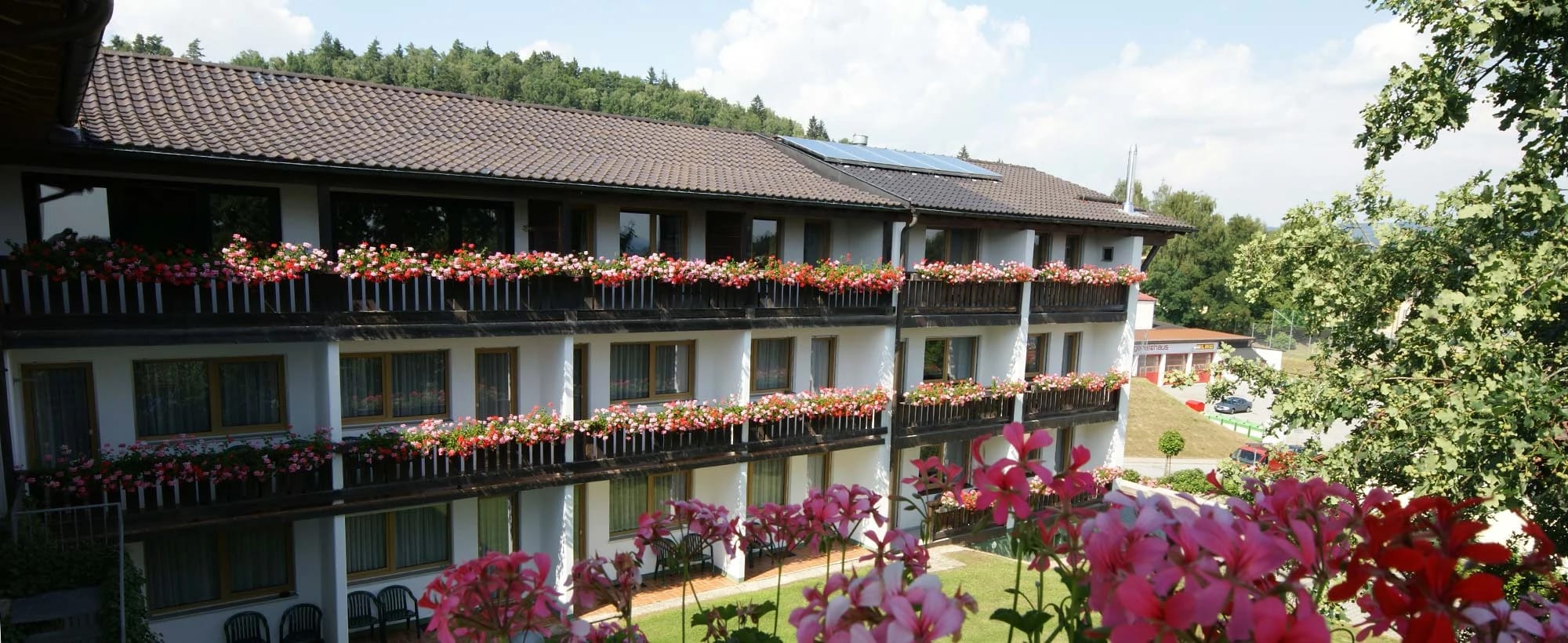 Balkonfassade des Hotels mit rotem und rosafarbenem Blumenschmuck, im Vordergrund blühende Hortensien
