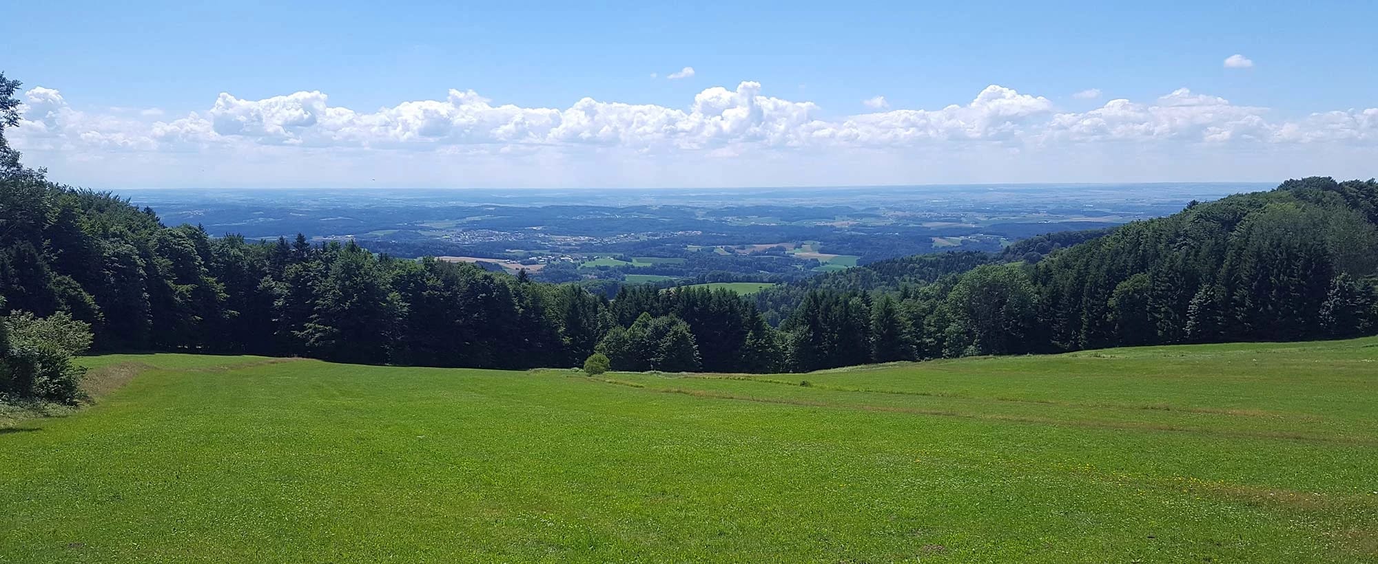 Weite grüne Wiese am Waldrand mit Fernblick über die Landschaft unter blauem Himmel