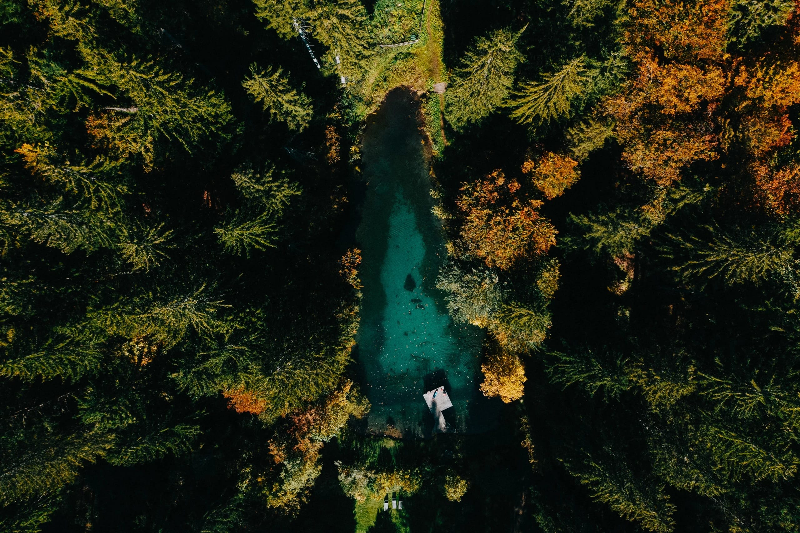 Türkisgrüner Naturteich von oben, umgeben von herbstlichem Wald