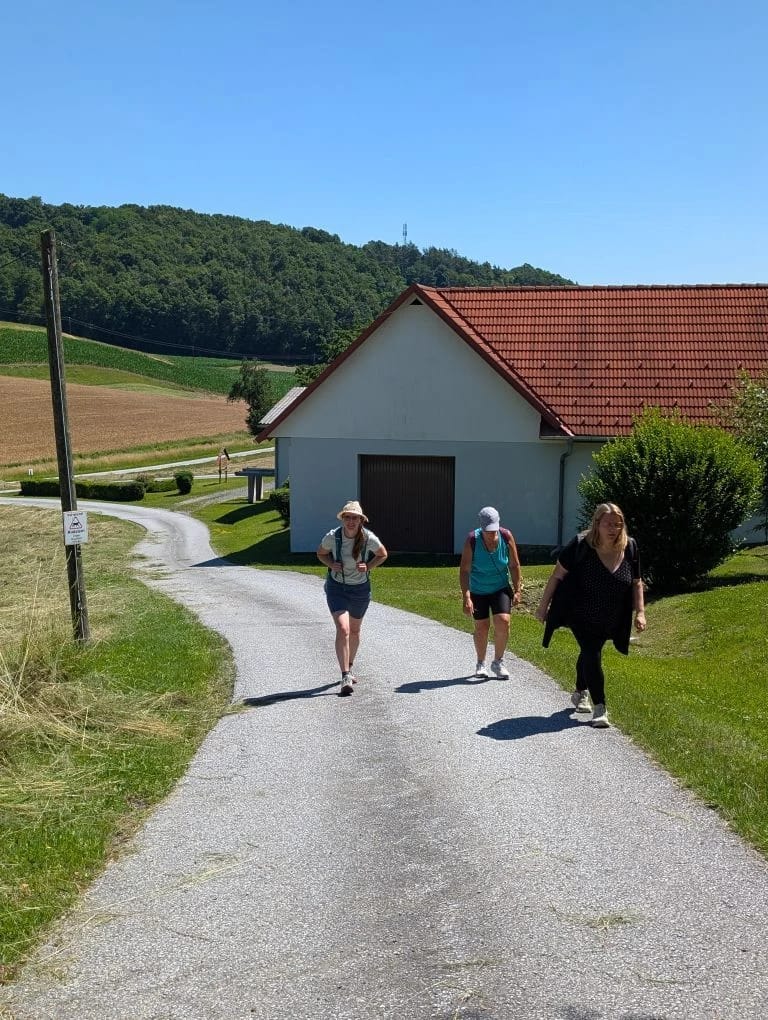 Wandergruppe geht auf einem schattigen Waldweg