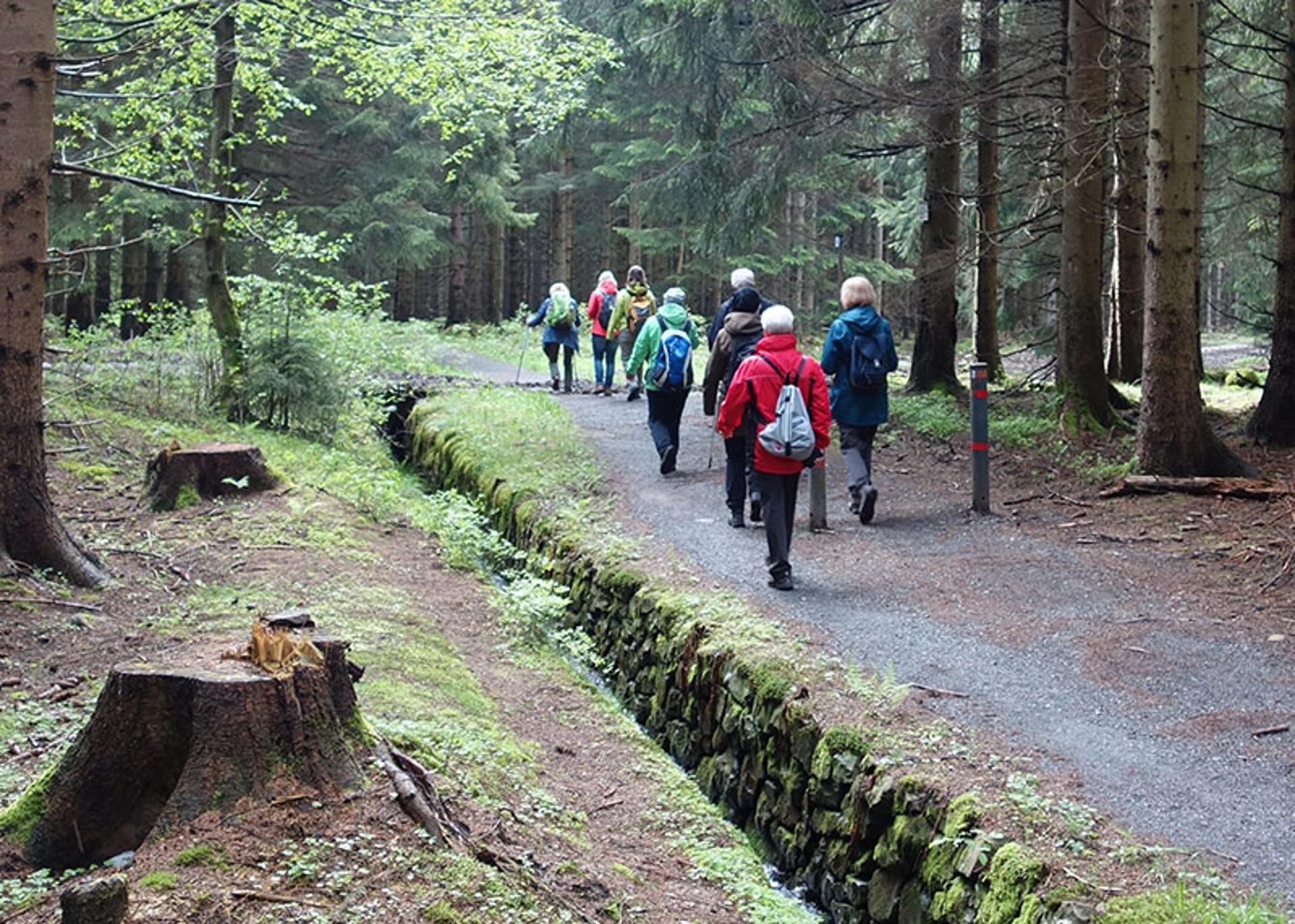 Wandergruppe auf einem schattigen Waldweg entlang eines steingefassten Grabens