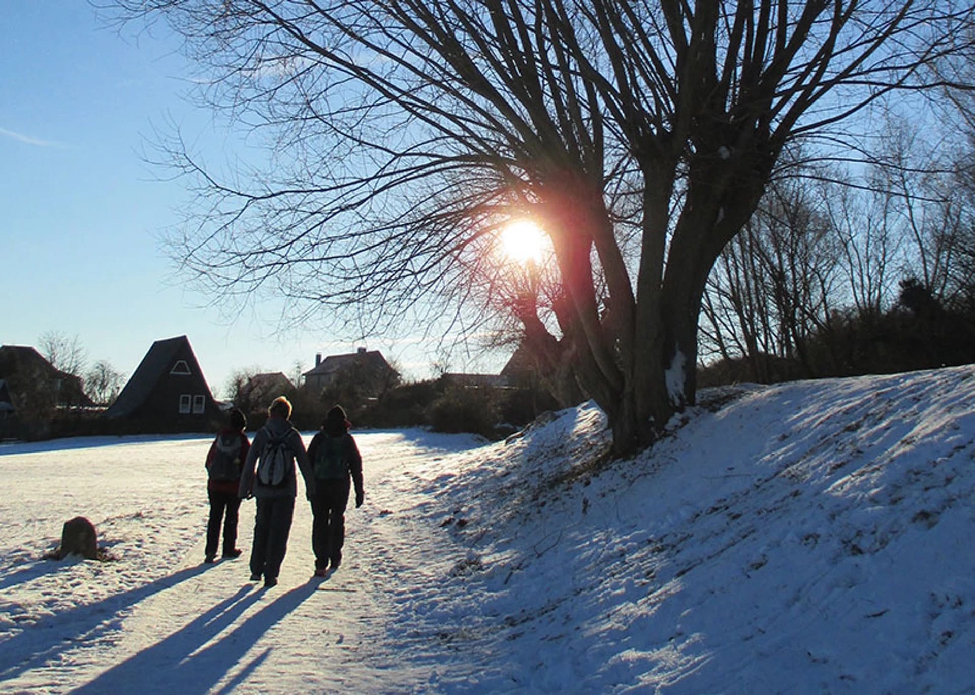 Drei Wanderer im Gegenlicht auf einem schneebedeckten Weg