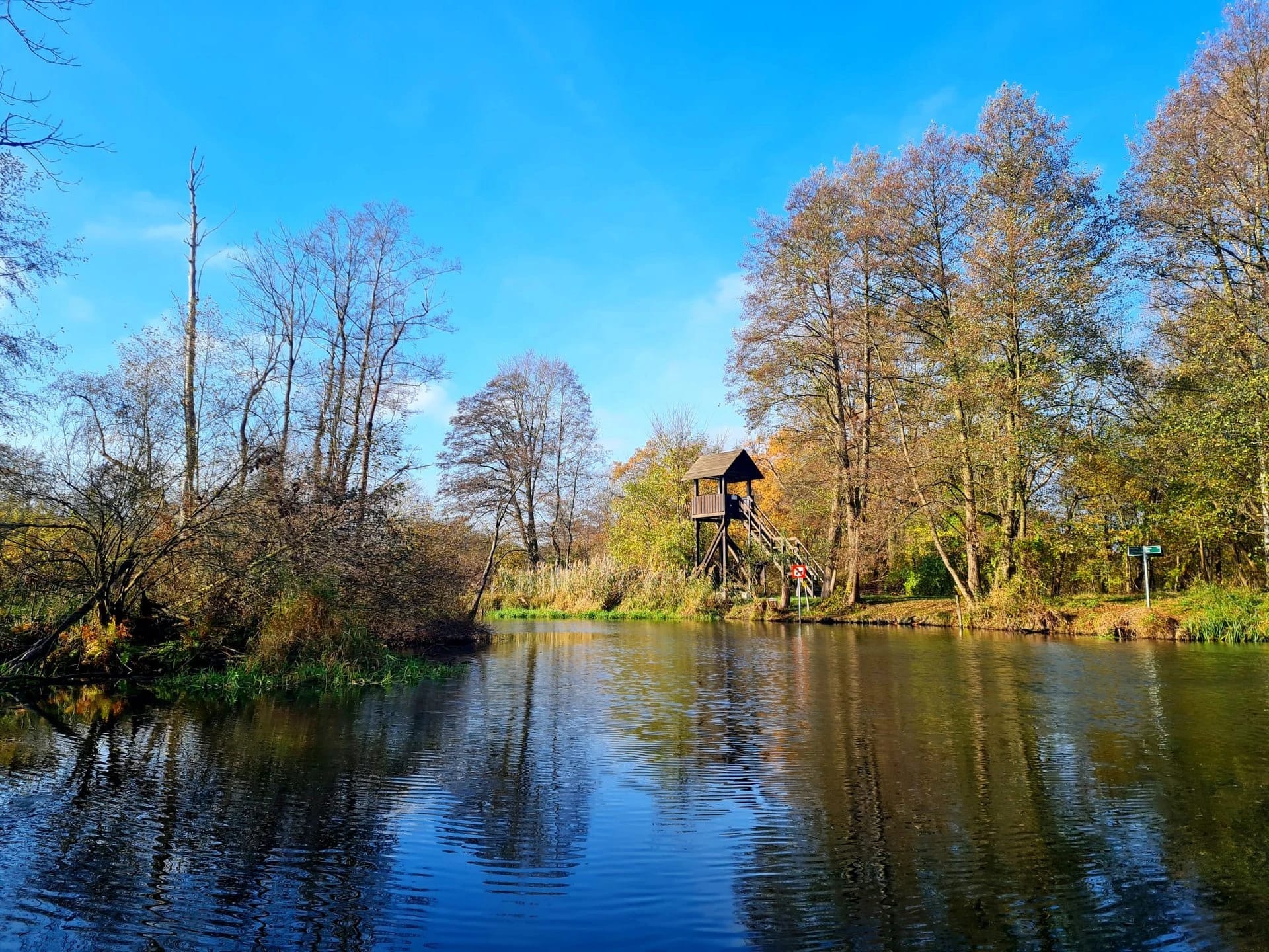 Herbstlicher Weiher mit hölzernem Beobachtungsturm unter blauem Himmel