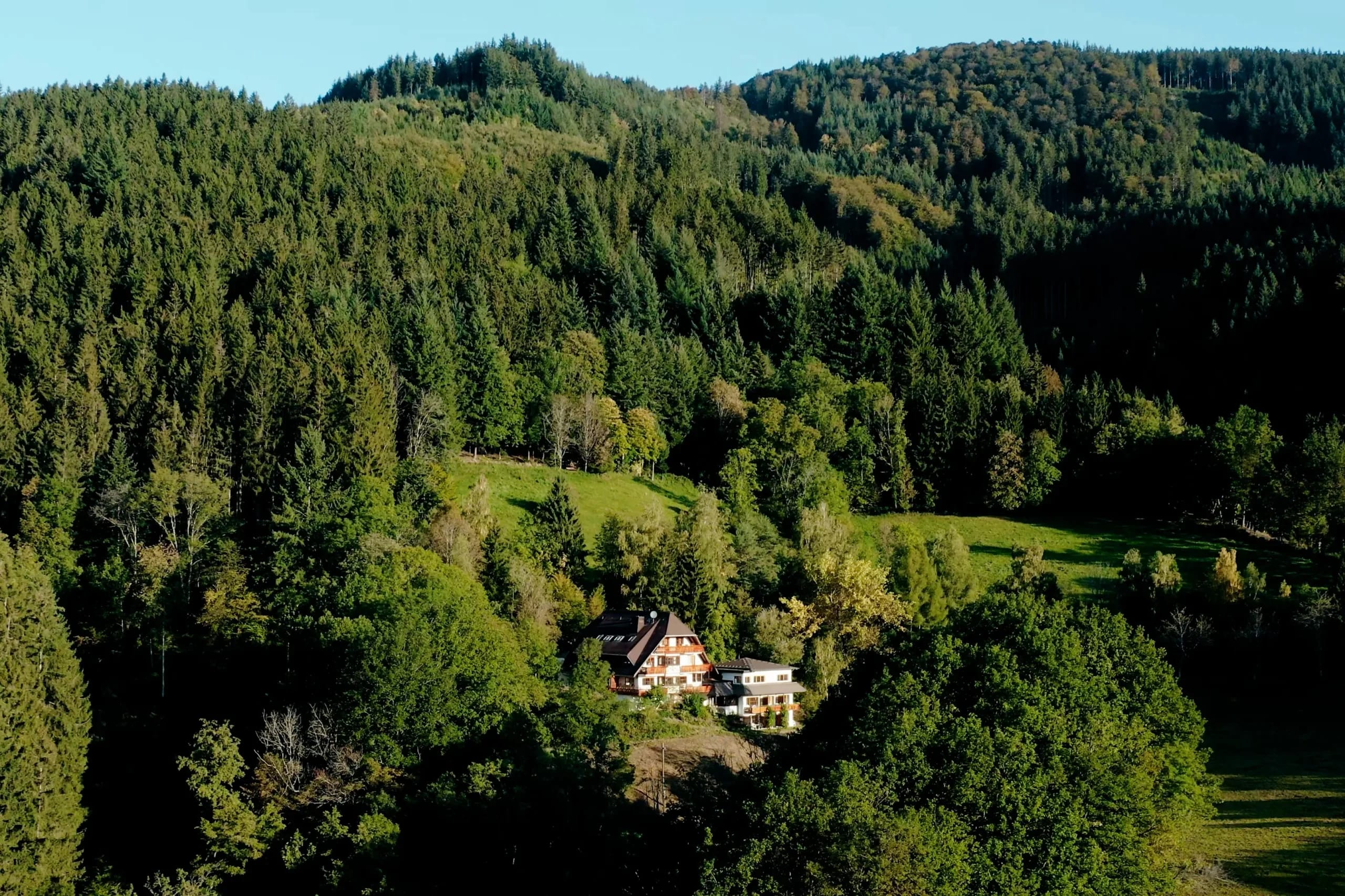Luftaufnahme des Hauses auf einer Lichtung, umgeben von bewaldeten Hängen und Wiesen