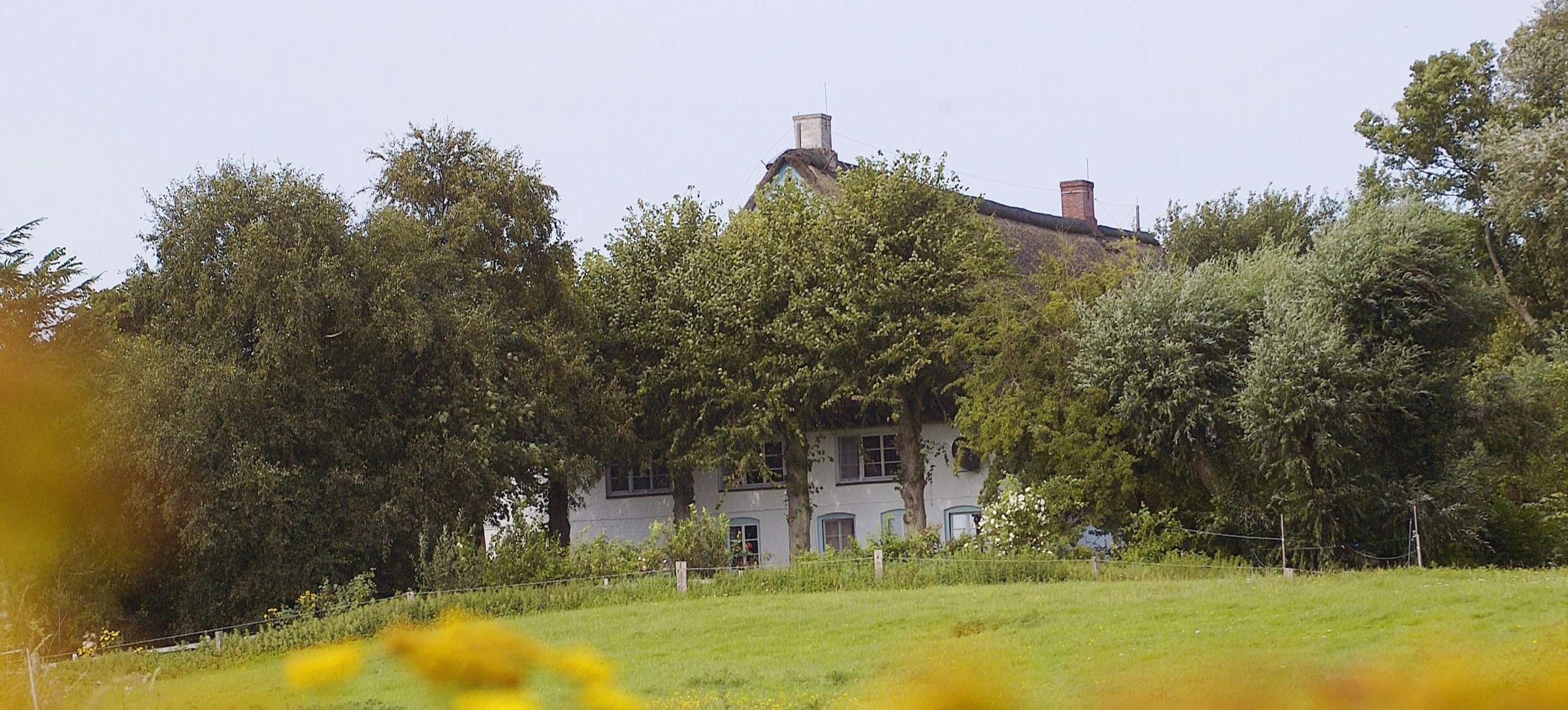 Das Haus hinter hohen Bäumen, davor eine weite Wiese