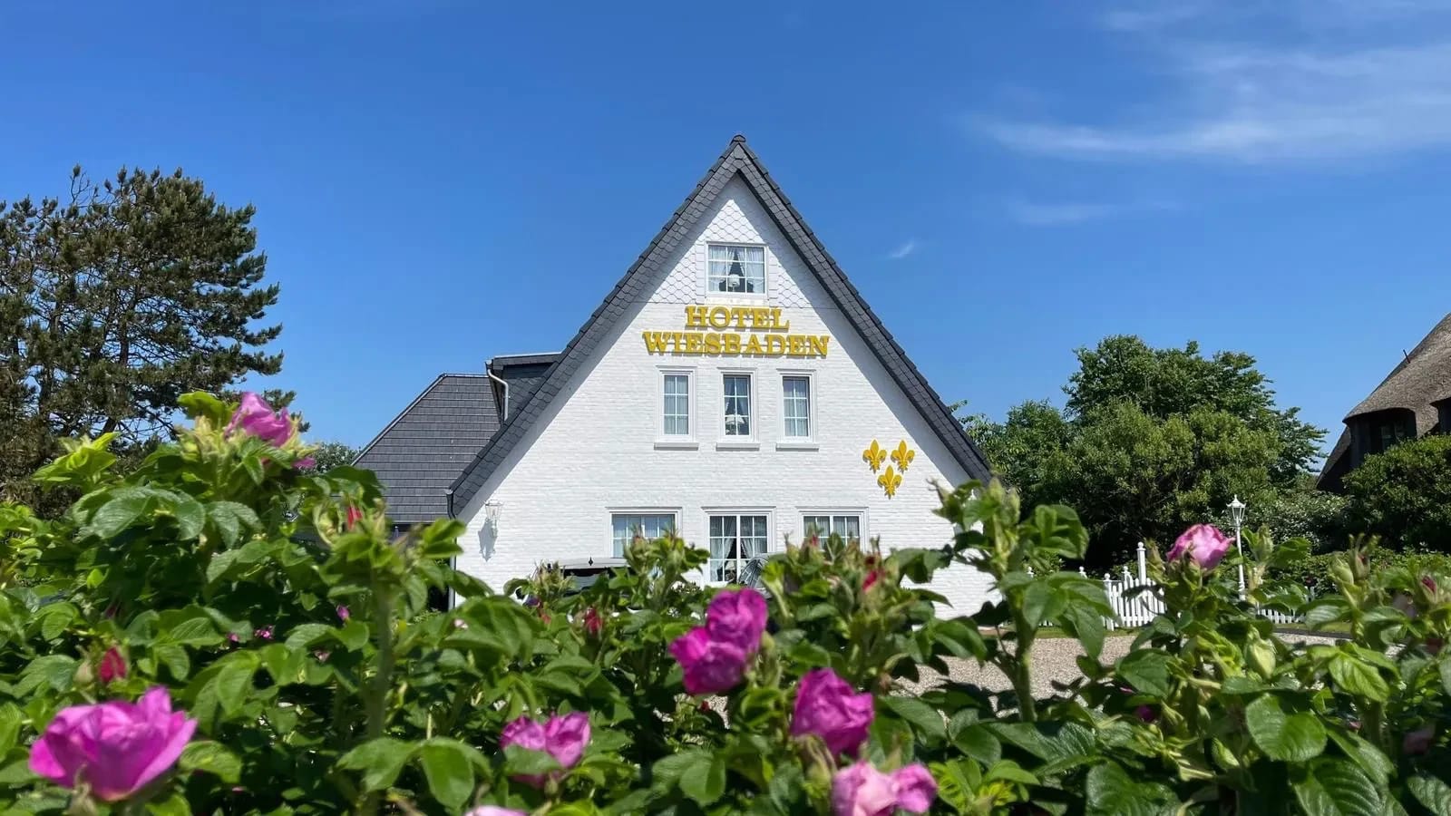 Weiß gestrichenes Giebelhaus des Hotels Wiesbaden mit Schriftzug, davor blühende Heckenrosen unter blauem Himmel