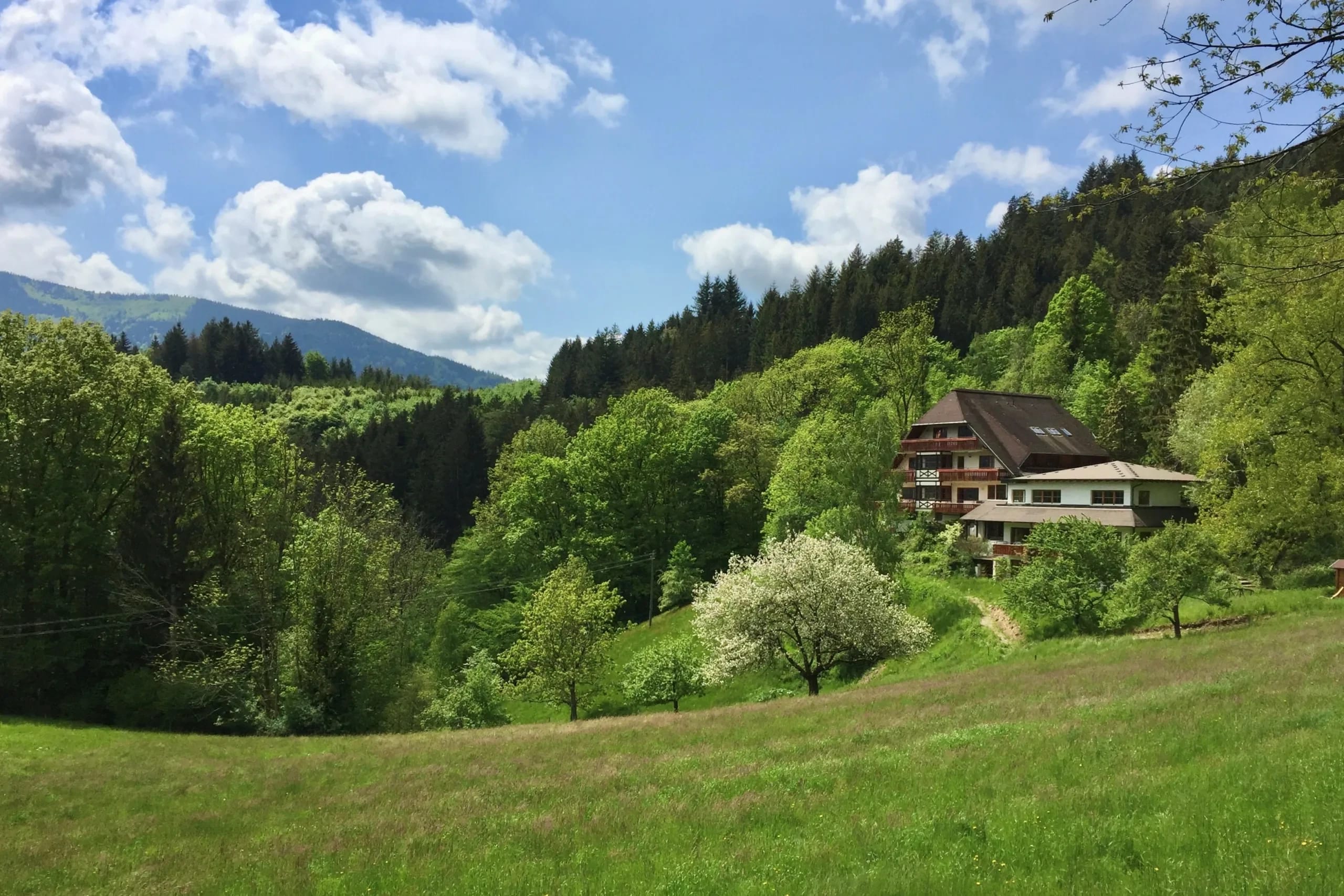 Schwarzwaldhaus mit dunklem Dach am Waldrand, davor eine grüne Frühlingswiese mit blühendem Baum und Bergen im Hintergrund