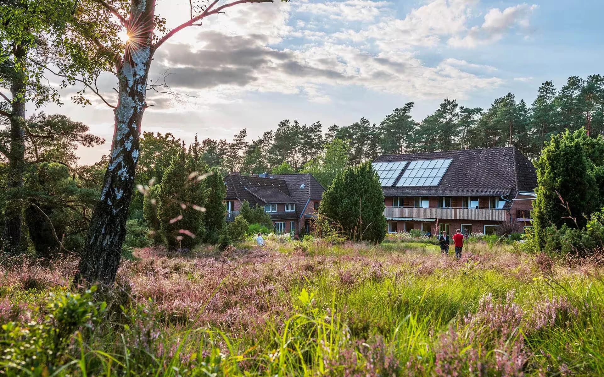 Hotelgebäude am Rand der blühenden Heidelandschaft im Abendlicht