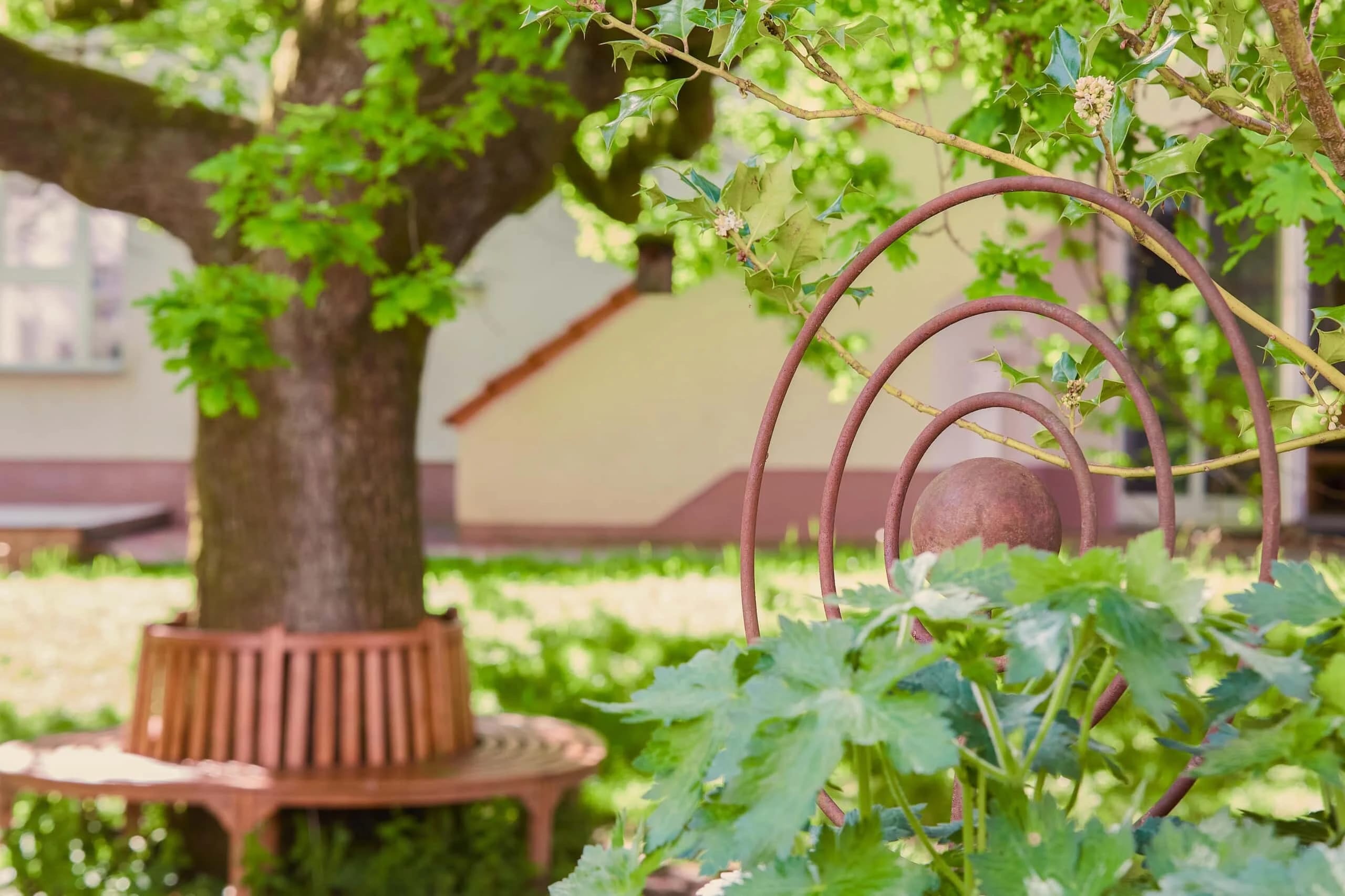 Rundbank um einen alten Baum im begrünten Garten