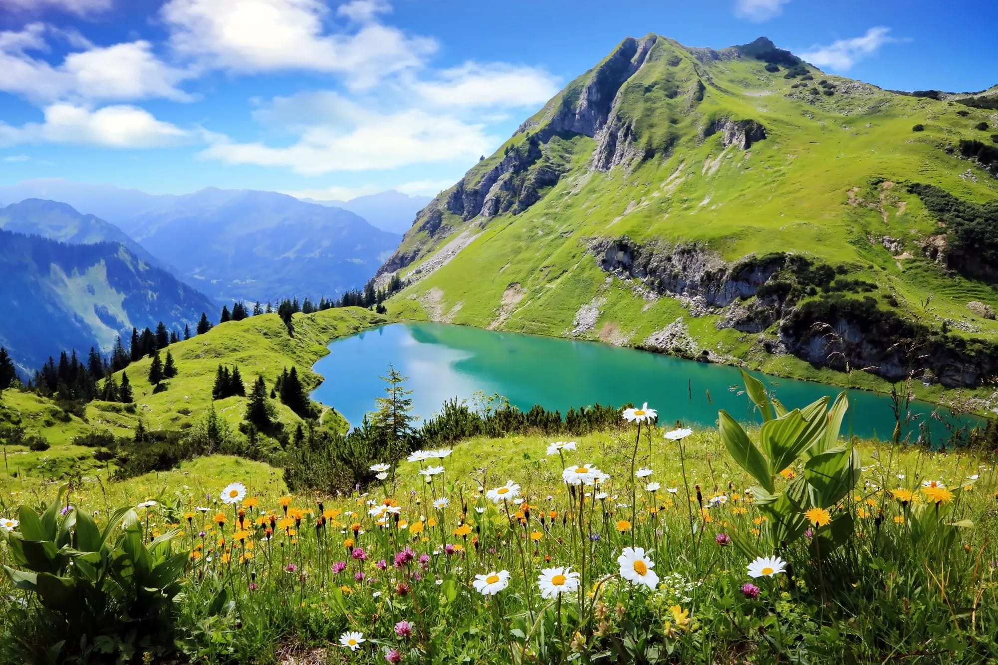 Bergsee mit Blumenwiese im Allgäu