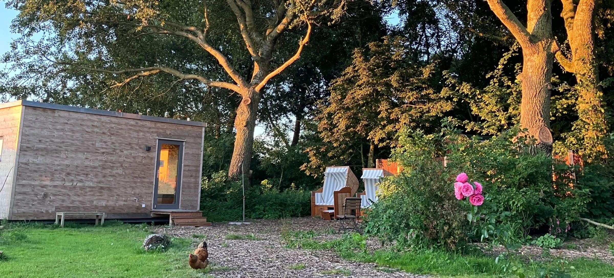 Saunahäuschen aus Holz im Garten, daneben ein Strandkorb unter alten Bäumen im Abendlicht