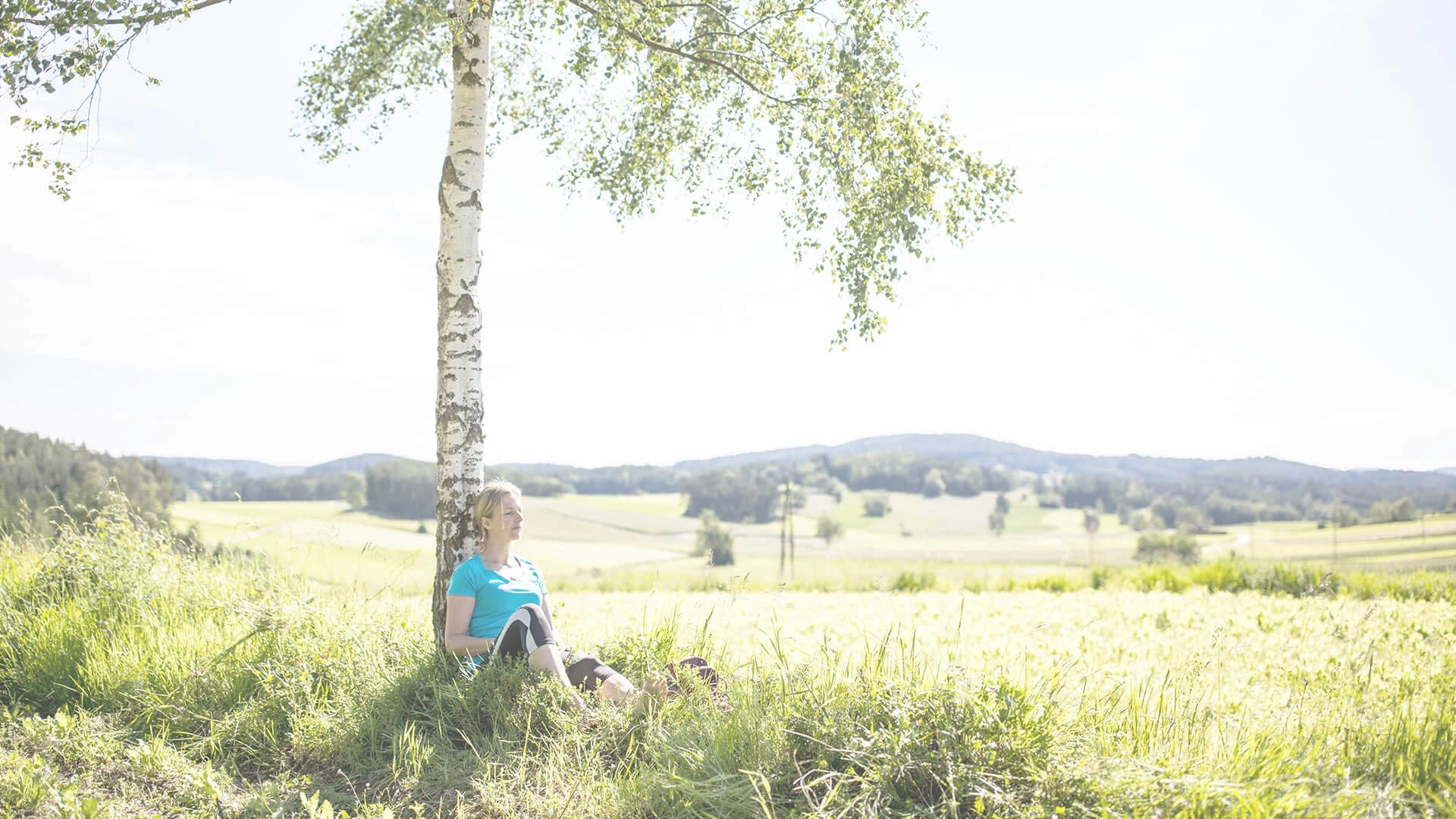 Sommerliche Waldviertel-Landschaft mit Birke, Wiese und sanften Hügeln